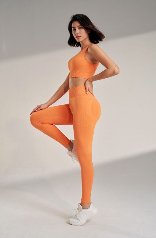 Flash Form Seamless Leggings Fitness Leggings Starlethics