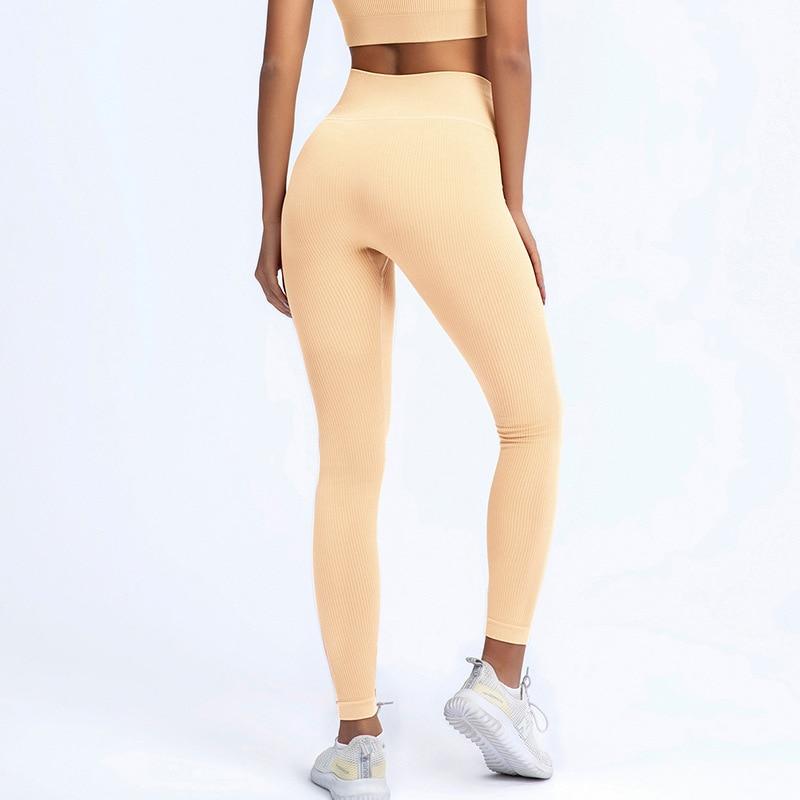 Voyage Seamless Leggings Yoga Pants Truetights