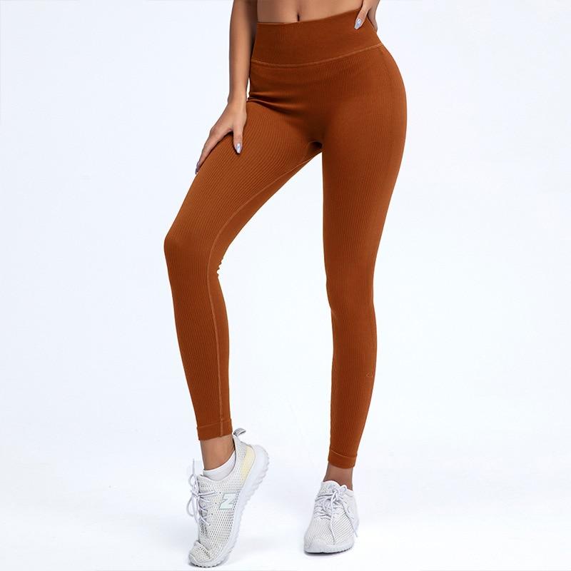 Voyage Seamless Leggings Yoga Pants Truetights