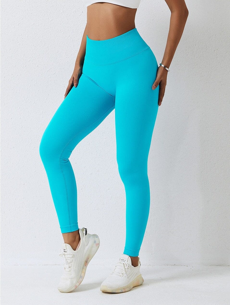 GymChic Seamless Leggings Leggings Starlethics