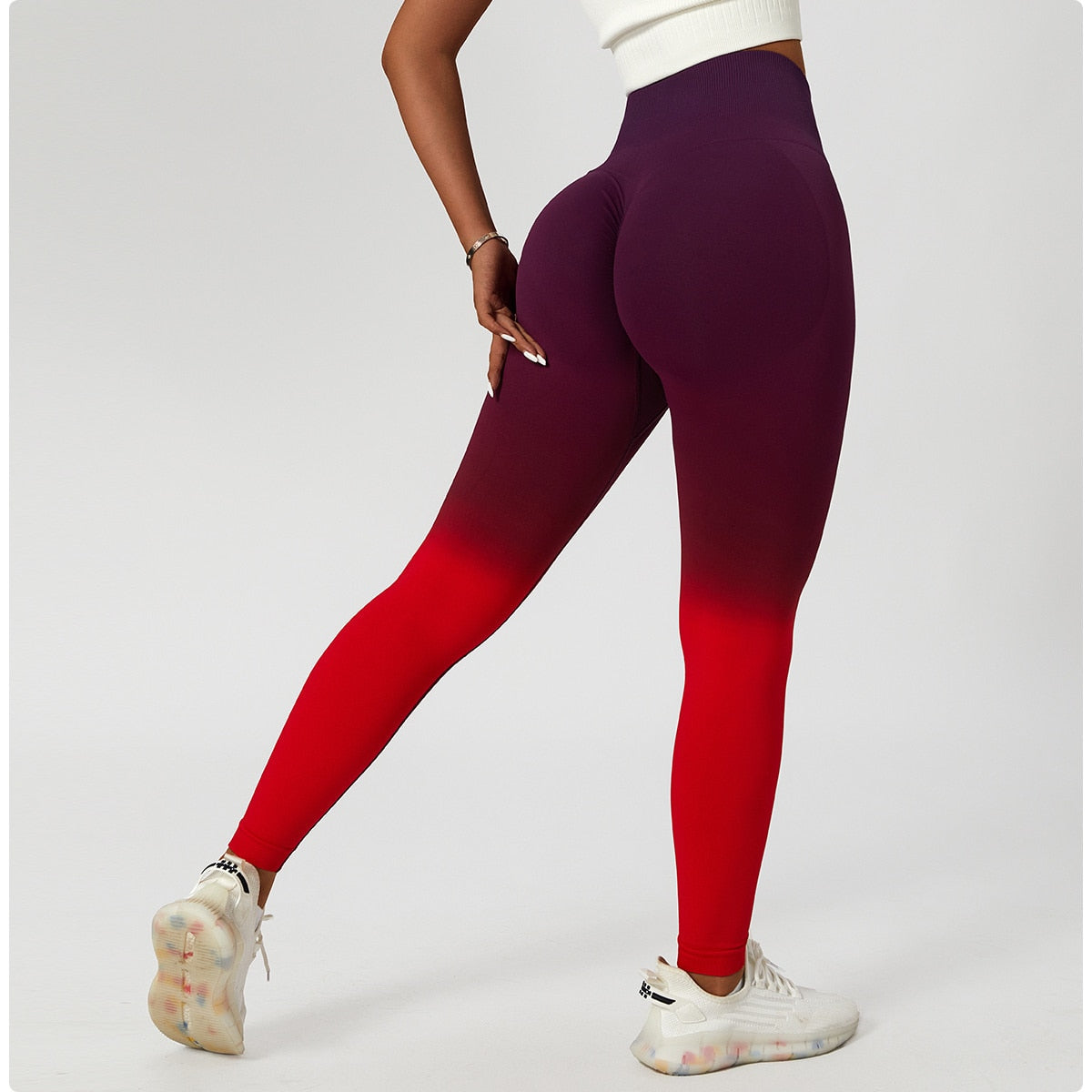 Descent Ombre Leggings Activewear Truetights