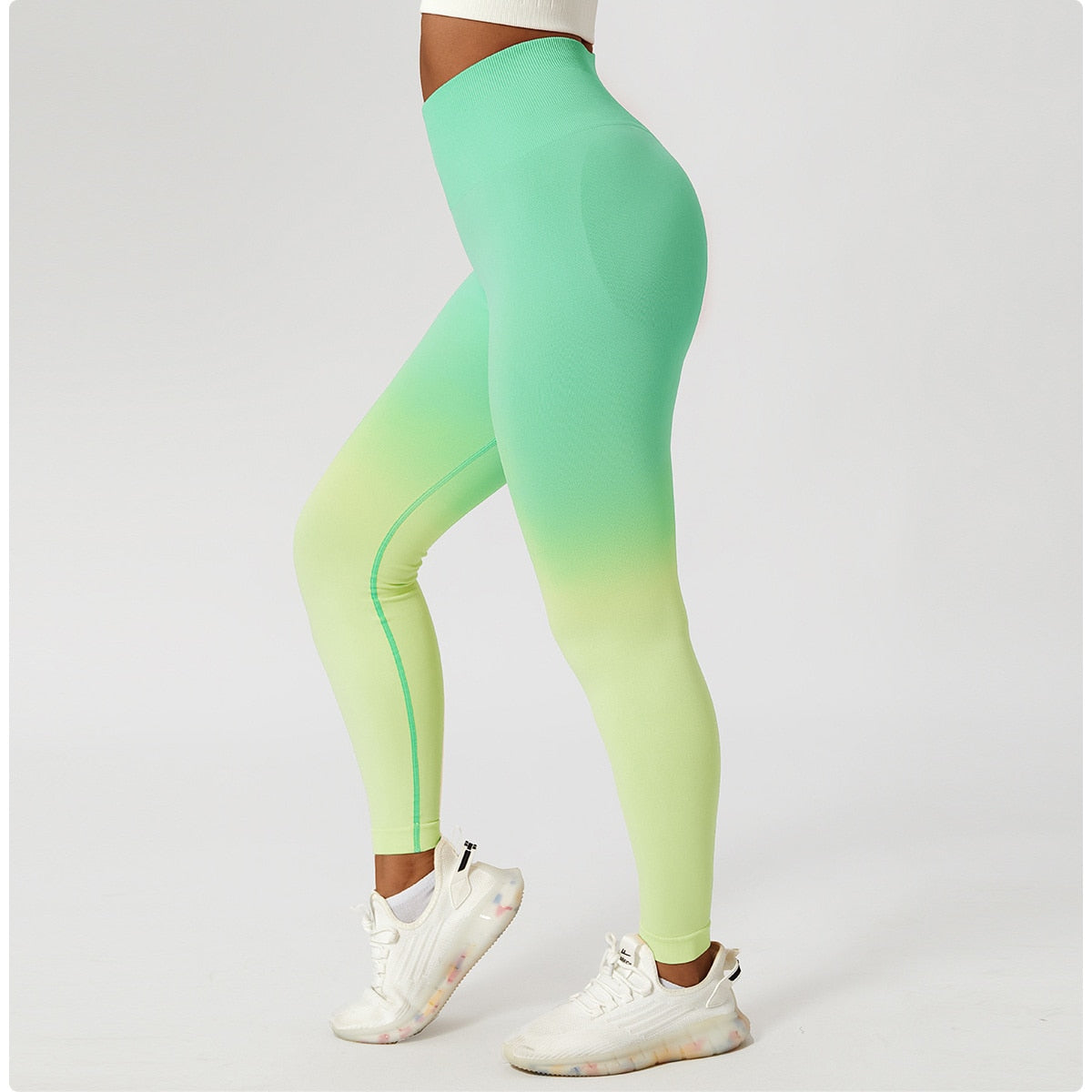 Descent Ombre Leggings Activewear Truetights