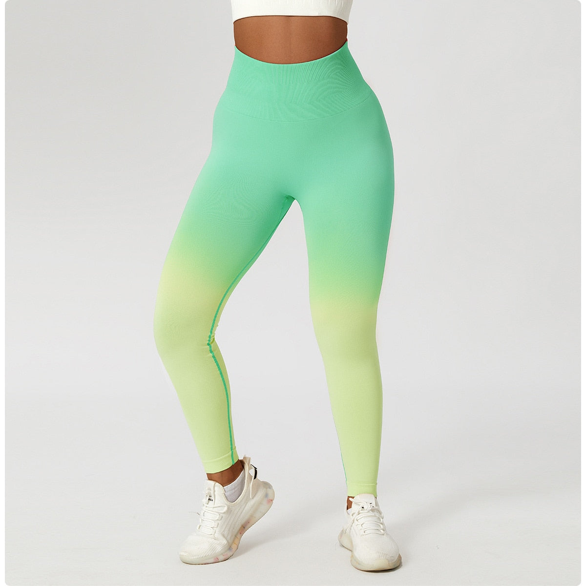 Descent Ombre Leggings Activewear Truetights