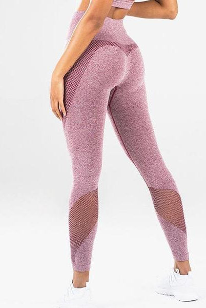 Starlethics Fitness Leggings