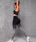 Starlethics Fitness Leggings