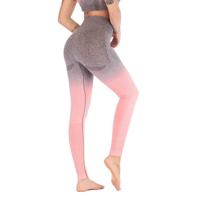 Seamless Ombre Leggings Leggings Leg Republic 